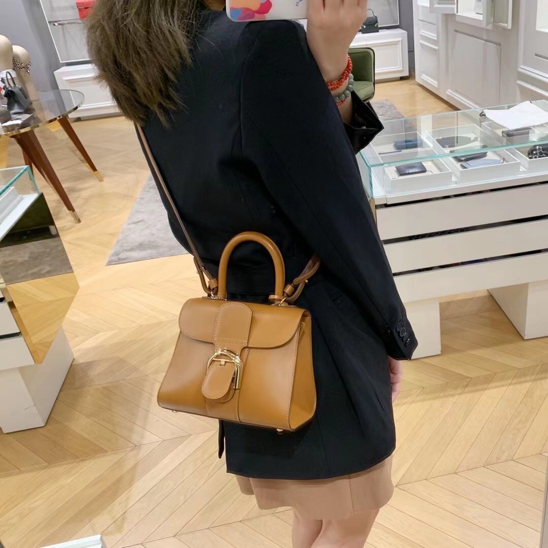 델보 브리앙 박스백 미듐